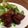 aki0055's cooksnap of when they made 超簡単！お酢でさっぱり♪豚の角煮.