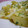 にゃぁくん's cooksnap of when they made 残り油でタマ玉のクレイジーソルト炒め.