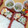2児ママみきてぃ's cooksnap of when they made ウェイパーで✩大根としめじのスープ.