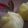 コギっち's cooksnap of when they made 芋きんとん♪.
