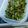 caches's cooksnap of when they made ご飯がすすむ大根菜.