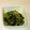 canaon's cooksnap of when they made 栄養満点☆菜っぱとシラスの胡麻油炒め.