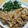 carnival's cooksnap of when they made オーブンで簡単！鶏肉のにんにくパン粉焼き.