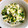 ハハさま's cooksnap of when they made ＊キャベツとほうれん草の胡麻和え＊.