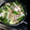 ymiki77's cooksnap of when they made 白菜と豚肉二種のミルフィーユ鍋.