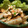 piyo_piyo's cooksnap of when they made ちょっぴり気が遠くなる（・・*？ごぼうと鶏のささ身のサラダ.