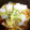 mint０６０７'s cooksnap of when they made 白菜とツナ缶のさっと煮♪.