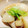 Hitomi0627's cooksnap of when they made 鶏手羽とカブの煮物.