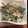 トモオちゃん's cooksnap of when they made ほうれん草とささみの柚子胡椒サラダ.