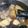 yucco0213's cooksnap of when they made 鶏肉と茄子の生姜煮.