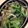 ごんたにゃん's cooksnap of when they made 小松菜のオイスターソース炒め.
