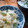Jock's cooksnap of when they made 季節限定☆破竹と木の芽のおすし.