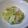 まほじょ's cooksnap of when they made 苦旨っ！　ツナマヨゴーヤサラダ　.