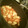 MMAANNGGOO's cooksnap of when they made 炊き込みごはん.