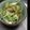 シュルツィ's cooksnap of when they made キュウリとタマネギの変わり冷や奴.