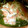 kospider's cooksnap of when they made 鮭の飯寿司（いずし）.