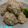 だくねす's cooksnap of when they made ふわふわ！レンコン入り鶏団子ポン酢かけ.