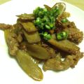あゆっち92's cooksnap of when they made 豚肉とごぼうの甘辛炒め煮.