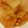 おぱんだんだ's cooksnap of when they made 畑の肉と白菜で甘辛オイスター煮.