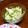 よしみるく's cooksnap of when they made うちのコールスロー★.