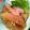 空ちっく's cooksnap of when they made ゴマ鯖・・・ゴマはまち！.