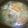 はらぺこ青虫's cooksnap of when they made おいしい けんちん汁♪.