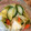 えまちん's cooksnap of when they made *塩麹できゅうりのお漬物*.