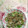 あざらしの赤ちゃん's cooksnap of when they made オクラとミョウガで☆簡単一品.
