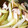 hanatansan's cooksnap of when they made セロリと豚肉の炒め.