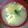 ハニーハニー77's cooksnap of when they made ☆にらの卵とじ味噌汁☆.