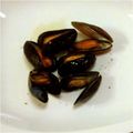 ごまむぎ。's cooksnap of when they made 簡単、ムール貝の白ワイン蒸し.