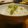 hitkat's cooksnap of when they made 秋の味覚☆銀杏ご飯☆.