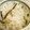amitie6's cooksnap of when they made 簡単でおいしい　しょうがご飯.