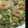ゆっきん♪'s cooksnap of when they made たっぷり水菜のヘルシーチヂミ.