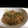mijam's cooksnap of when they made わが家の生姜焼き☆長ネギ＆豚バラ☆.