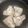 hirokomoko's cooksnap of when they made つやつやてりてり!!ぶりあら照り煮♪.