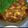 たむたむわーるど's cooksnap of when they made チキンピカタ.