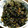 karutape's cooksnap of when they made 大根の葉の炒め煮.
