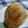 おんかめ's cooksnap of when they made 我が家の焼きおにぎり(*◡ฺܫ◕ฺ)✿ฺ.