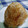 おんかめ's cooksnap of when they made 我が家の焼きおにぎり(*◡ฺܫ◕ฺ)✿ฺ.
