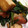 sayur1★'s cooksnap of when they made 厚揚げとほうれん草炒め.