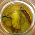 エターニア's cooksnap of when they made 牡蠣のオイル漬け.