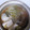まゅ＠たん's cooksnap of when they made 簡単☆おいしい☆キムチ鍋.