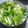 ここあぶるー's cooksnap of when they made 大根葉の漬け物～大根も一緒に♪.