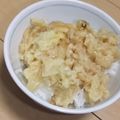 きらり流れ星's cooksnap of when they made ただ煮るだけ　”天ぷら丼”でござーい。.