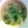 リノサク's cooksnap of when they made 風邪引いた！れんこんスープで温まろう.