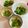 ☆やまや☆'s cooksnap of when they made ☆レタスと塩こんぶのサラダ☆.