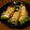 pipo☆pipo's cooksnap of when they made 酒のつまみ☆チーズとアボガドで生ハム巻き.