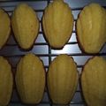 ｱｰﾁｬﾝﾏﾏﾁｬﾝ's cooksnap of when they made レモン丸ごとビタミンCたっぷりマドレーヌ.