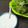 れーかママ's cooksnap of when they made カロリー控えめ☆ヨーグルトドレッシング♪.